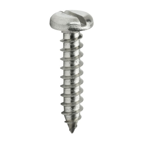 Pan Slotted Screw